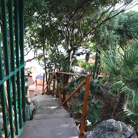 テッラジーニ Casa Elviraヴィラ エクステリア 写真