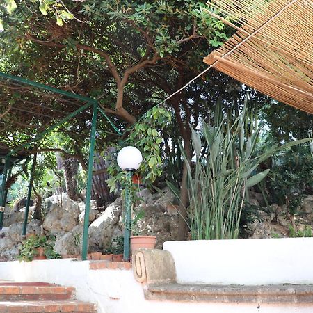 テッラジーニ Casa Elviraヴィラ エクステリア 写真