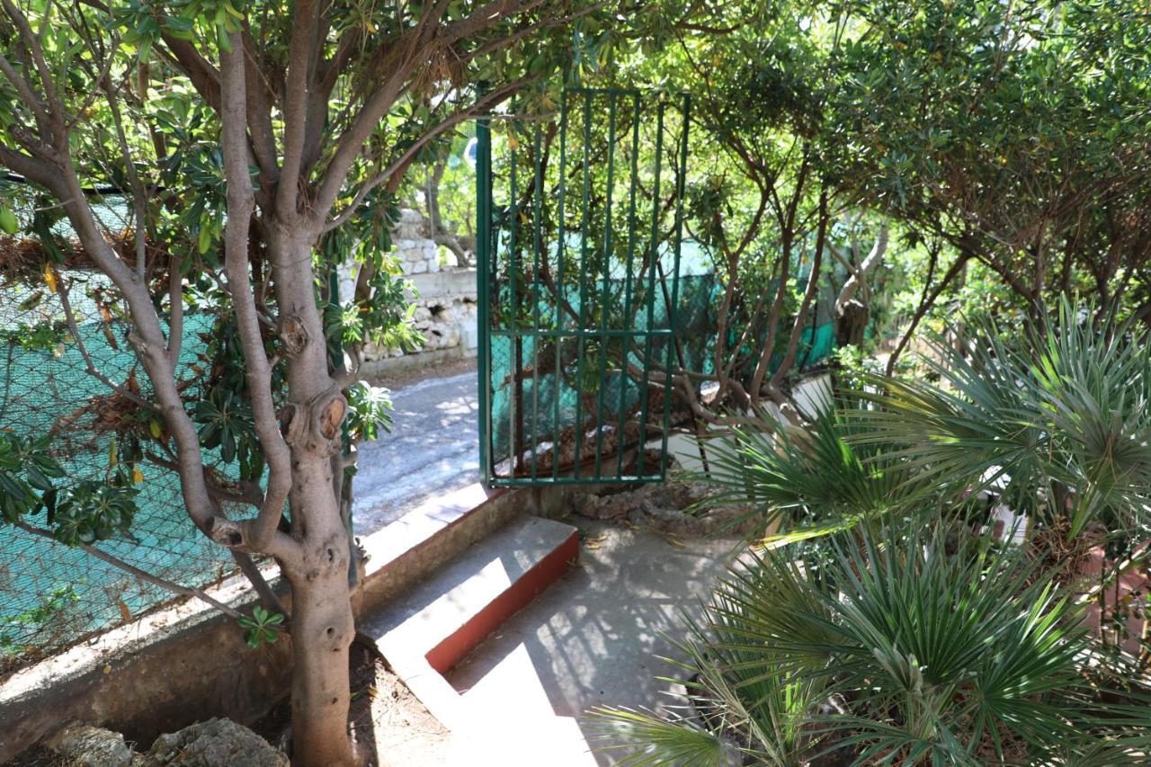 テッラジーニ Casa Elviraヴィラ エクステリア 写真