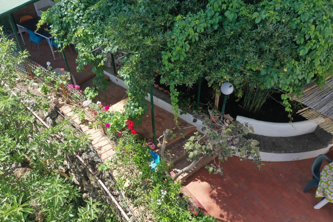 テッラジーニ Casa Elviraヴィラ エクステリア 写真