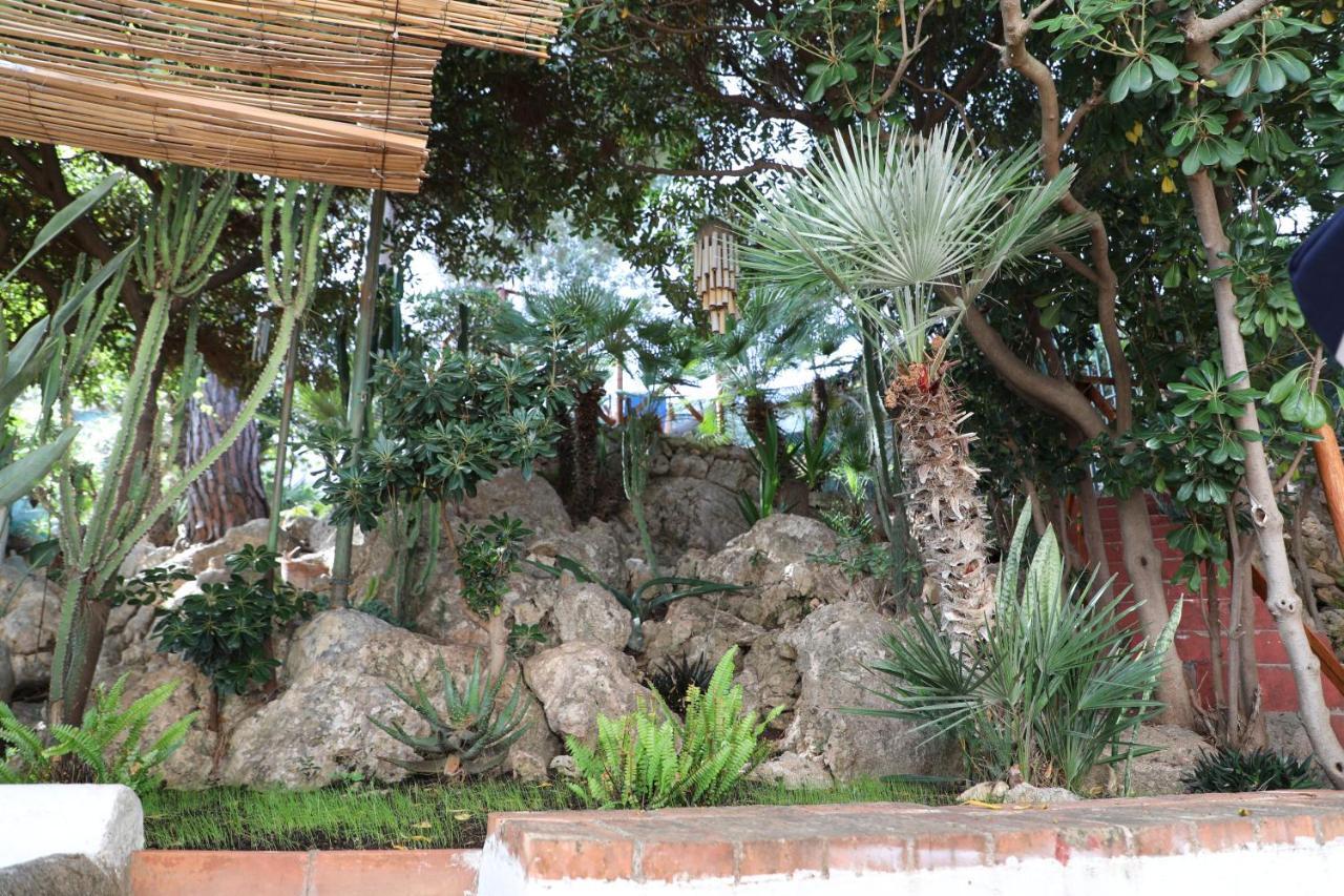 テッラジーニ Casa Elviraヴィラ エクステリア 写真